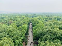 -灵谷景区