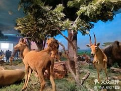 -国家自然博物馆