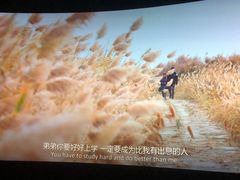 -金逸影城(武汉人信汇IMAX店)