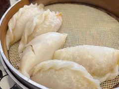 -陶姐冷粉