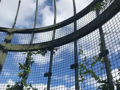 -三鹰之森吉卜力美术馆