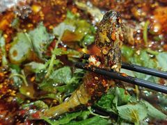 黄辣丁-彭大姐老店黄辣丁(新津店)