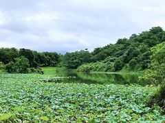 -福建鲤鱼洲酒店