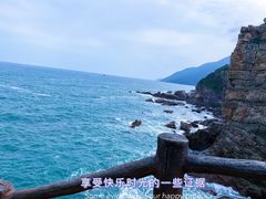 -杨梅坑