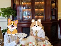 -Salon de Ville浦江汇(上海外滩华尔道夫酒店店)