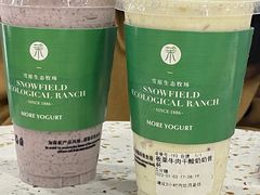 -茉酸奶(春熙路店)