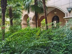 -复旦大学附属中山医院(西院区)