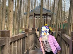 -南京金牛湖风景区