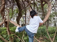 -风云岭森林公园