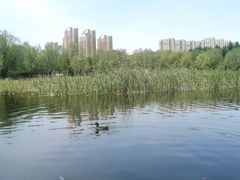 -前关湿地公园