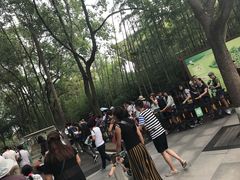游乐设施-成都大熊猫繁育研究基地