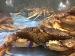 -快乐海鲜城(虎泉街店)