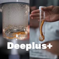 -Deeplus+韩国皮肤管理한국피부관리·C:Lab肌肤实验室