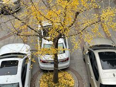 -上海质量管理科学研究院