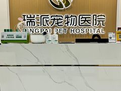 -瑞派康怡24h宠物医院·犬猫医疗中心·微创绝育(瑞景分院)