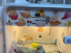 -吾叁·吉趣鸟咖(万科店)