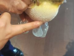 -肆月河豚·淮扬菜·湘菜(华天店)