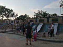 -大兴滨河森林公园