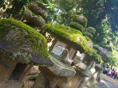 -奈良公园