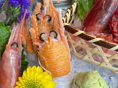 南极精灵虾-原志优秀食材·匠心料理·海胆主题(金亿广场店)