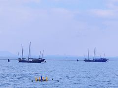 -贡湖湾湿地公园