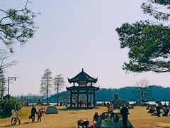 -东湖落雁景区