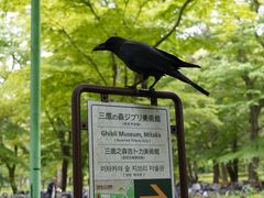 -三鹰之森吉卜力美术馆