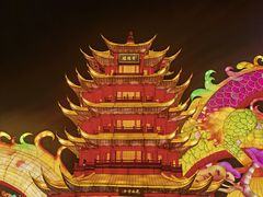 -武汉园博园(武汉自然博物馆)