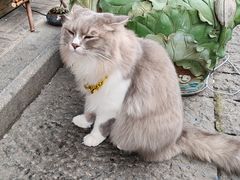 -郑三炮名小吃(公馆老街店)