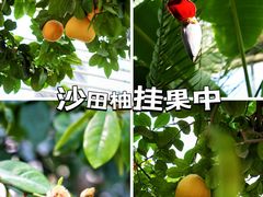 -国家植物园南园