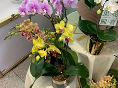 -EPOQUE·一刻花店(兴业太古汇店)