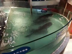 -坛宗剁椒鱼头(河西王府井店)