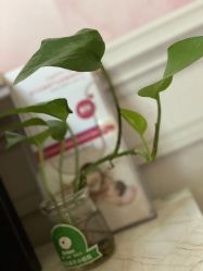 -爱尔乐美孕产瑜伽·普拉提