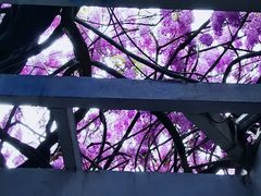 -郑和公园