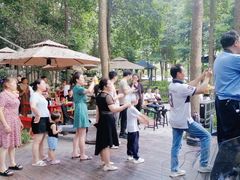 -二荆条·蜀鲜汇城市森林火锅