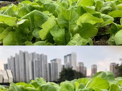 -成都许燎源现代设计艺术博物馆