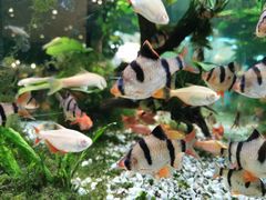 -大家乐(佛山南海店)