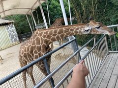 -泉州海丝野生动物世界