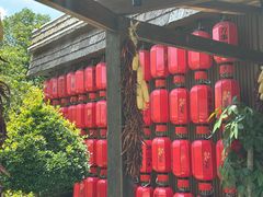 -传统菜农庄(皇姑路店)