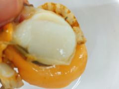 扇贝-雅逸居海鲜小厨