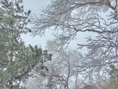 -秦岭风景区