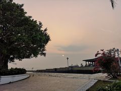 -采粤轩中餐厅(惠州金海湾喜来登度假酒店)