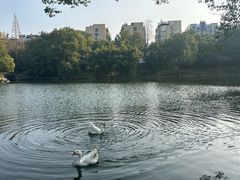 -台州府城(东湖)