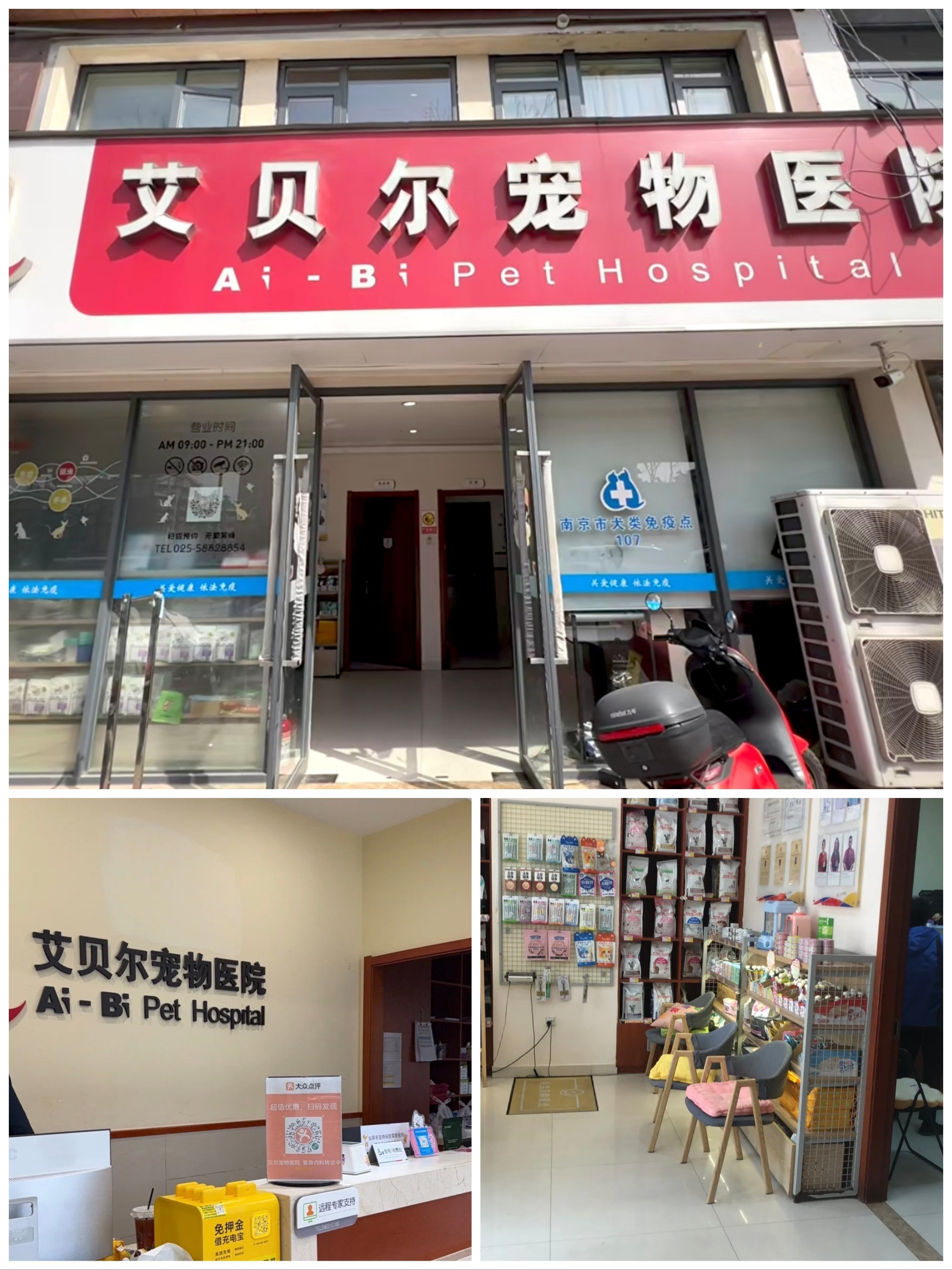 💖艾贝尔宠物医院,让爱宠更健康💖