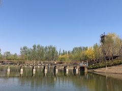 -东郊湿地公园