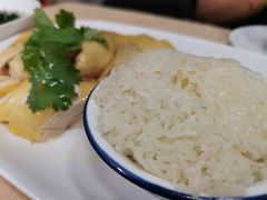 -巫记鸡饭店