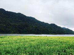 -广州市流溪河国家森林公园