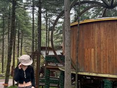 -洛阳白云山景区