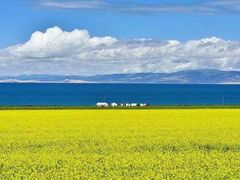 -青海湖国家重点风景名胜区