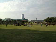 草坪-白鹭洲公园